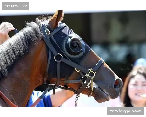 经纪人解释洛佩兹获得冠军挑战权关键因素 经纪人解释洛佩兹获得冠军挑战权关键因素